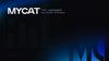 Внедрение нового ПО - MYCAT
