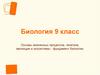 Живая клетка: структурная единица жизни