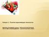 Понятие мультимедиа технологии. Лекция 1