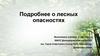 Подробнее о лесных опасностях