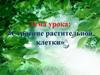 Строение растительной клетки. Главные части клетки