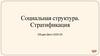 Социальная структура. Стратификация