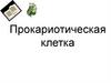 Прокариотическая клетка