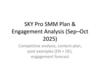 SKY Pro - SMM Plan & Engagement