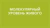 Молекулярный уровень живого