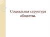 Социальная структура общества