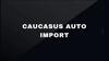 Caucasus Auto Import — крупнейший автоимпортер в Закавказье и Восточной Европе