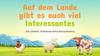 Auf dem Lande gibt es auch viel Interessantes