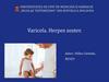 Varicela. Herpes zoster