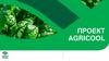 Agricool- уникальная образовательная программа