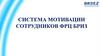 Система мотивации сотрудников  ФРЦ БРИЗ