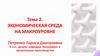 Экономическая среда на макроуровне. Тема 2