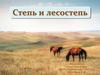 Степь и лесостепь  (8 класс)