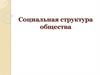 Социальная структура общества. Социальный состав