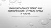 Муниципальное право как комплексная отрасль права и наука. Тема 1