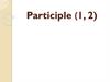 The Participle