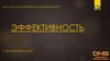 DNS — магазин цифровой и бытовой техники. Эффективность