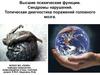 Высшие психические функции. Синдромы нарушений. Топическая диагностика поражений головного мозга