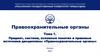 Предмет, система, основные понятия и правовые источники дисциплины «Правоохранительные органы»