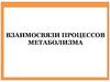 Взаимосвязи процессов метаболизма