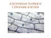 Клеточная теория и строение клетки