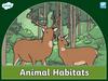 Animal Habitats