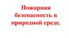 Пожарная безопасность в природной среде