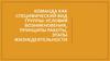 Команда как специфический вид группы: условия возникновения, принципы работы, этапы жизнедеятельности