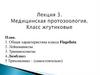 Лекция 3. Медицинская протозоология. Класс жгутиковые