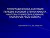 Топографическая анатомия передне-боковой стенки живота. Факторы грыжеобразования. Этиология грыж живота