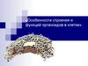 «Особенности строения и функций органоидов в клетке