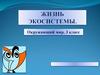 Жизнь экосистемы  (3 класс)