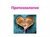 Протозоология. Виды взаимоотношений между организмами