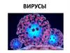 Вирусы. Открытие вирусов