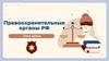 Правоохранительные органы РФ