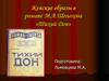 Женские образы в романе М.А. Шолохова «Тихий Дон»