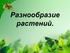 Разнообразие растений