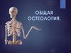 Общая остеология. Общая анатомия скелета