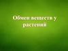 Обмен веществ у растений