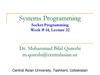 Systems Programming. Socket Programming. Week #14, Lecture 22