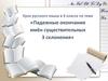 Падежные окончания имён существительных 3 склонения. Урок русского языка в 4 классе