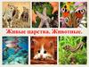 Живые царства. Животные