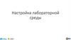 Настройка лабораторной среды