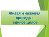 Живая и неживая природа - единое целое