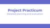 Project Practicum. Detailed planning and evaluation
