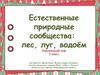 Естественные природные сообщества: лес, луг, водоём