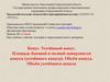 Конус. Усечённый конус. Площадь и объём конуса