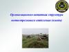 Организационно-штатная структура мотострелкового отделения (взвода). Мотострелковое отделение