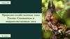 Природно-хозяйственные зоны России. Смешанные и широколиственные леса  (8 класс)