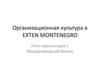 Организационная культура Exten Montenegro